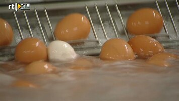 RTL Z Nieuws Grote fraudezaak met eieren
