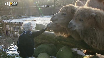 Koffietijd Astrid Vis woont in dierenpark Amersfoort