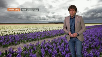 RTL Weer Laat