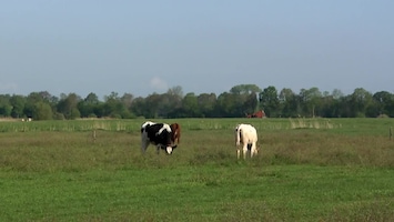 De Visvrouwen Afl. 1