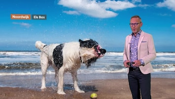 RTL Weer 19:55 uur