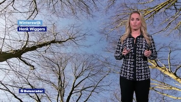 Rtl Weer - 19:55