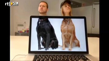 Editie NL Bizarre trend: desk safari
