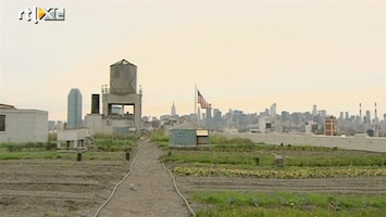 RTL Nieuws Boerderijen midden in New York