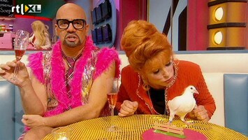 De TV Kantine Het duifje van Marijke Helwegen