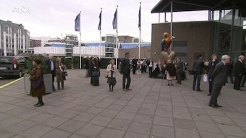 Tefaf Nieuws (rtl-z) 