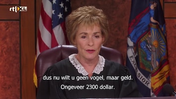 Judge Judy - Afl. 4124