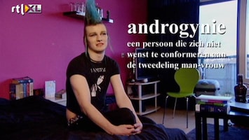 Lust, Liefde Of Laten Lopen? Androgynie?