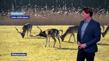 Rtl Weer - Laat