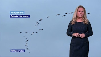 Rtl Weer - Laat