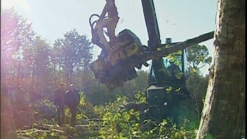 RTL Transportwereld Kastanjehout bij Cees van Vliet