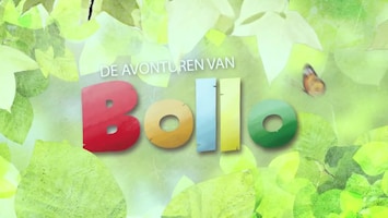 De Avonturen Van Bollo - Afl. 6