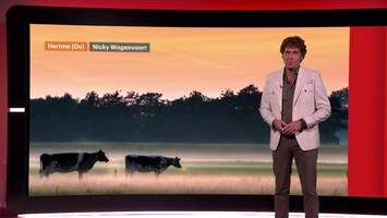 RTL Weer 18:30 uur