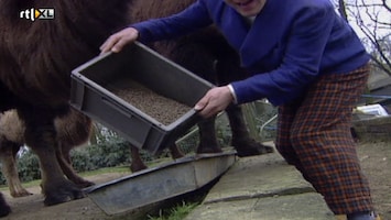 Ernst, Bobbie En De Rest - Dierentuin - De Dierentuin Is Dicht