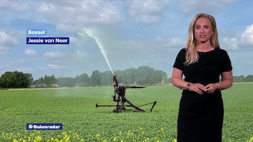 Rtl Weer - Laat