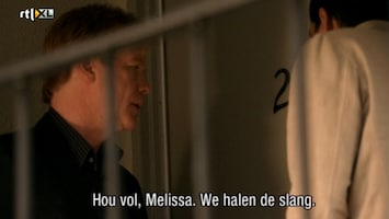 Csi: Miami - Fallen