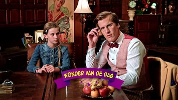 Wonderschool - De Wonderlijke Banaan