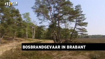 RTL Z Nieuws Brabant heeft nu al code oranje voor brandgevaar natuur