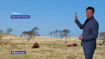 RTL Weer 19:55