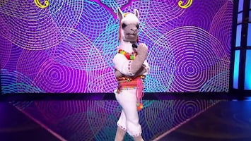 The Masked Singer Afl. 1