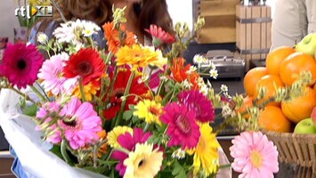 Koffietijd Gerbera's