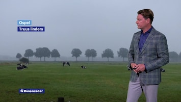 Rtl Weer - Laat