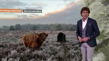 Rtl Weer - 19:55 Uur