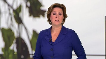 RTL Nieuws 12:00 uur