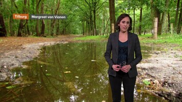 Rtl Weer - Laat