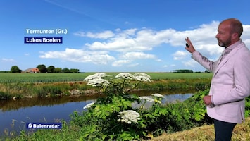 Rtl Weer - 19:55