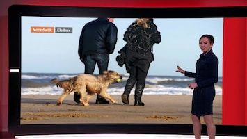 RTL Weer 18:30 uur