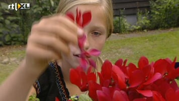 Green-kids Jill wil weten welke bloemen er in een bloemenpers kunnen