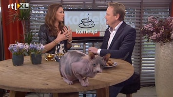 Koffietijd Dierenarts