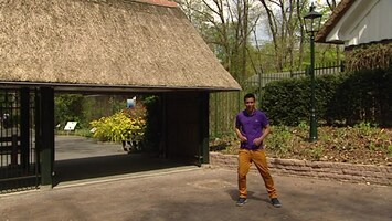 Burgers' Zoo En Waarom - Timo En De Leeuwen