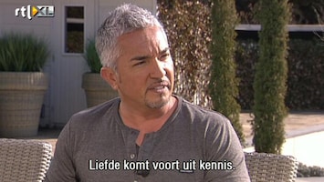 Koffietijd Cesar Millan Deel 1