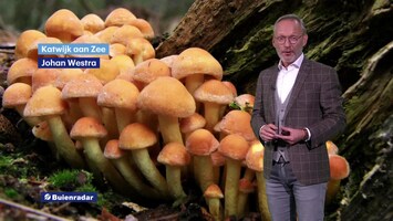 Rtl Weer - 19:55