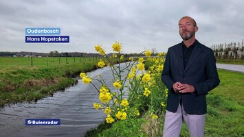 Rtl Weer - Laat