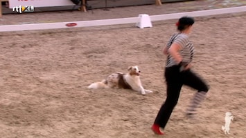 Royal Canin Dog Challenge Afl. 2