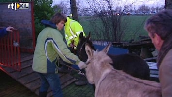 Editie NL Tolbert Groningen