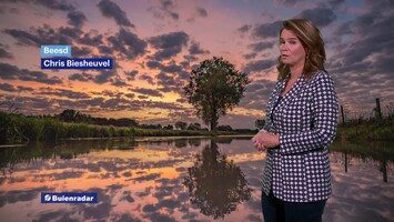 Rtl Weer - 19:55