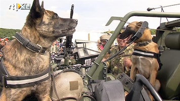 RTL Nieuws Honden trekken bekijks op veteranendag