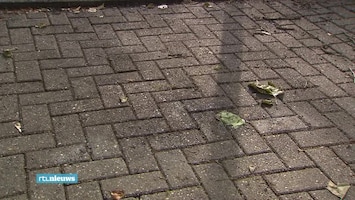 RTL Nieuws Laat