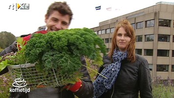 Koffietijd Urban Farming