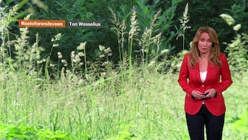 Rtl Weer - Laat