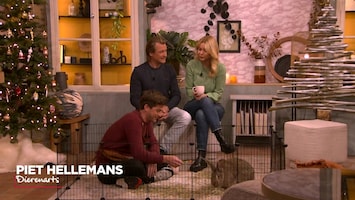 Eigen Huis & Tuin: Lekker Leven Afl. 168