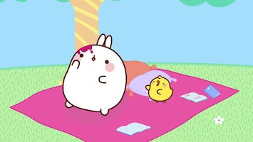 Molang - Afl. 31