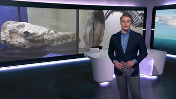 Rtl Nieuws - 19:30 Uur - 08:20 Uur