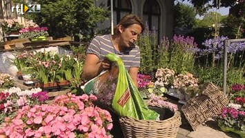 Eigen Huis & Tuin Kamerplanten in tuin