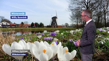 Rtl Weer - Laat