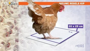 RTL Nieuws Einde aan de plofkip?